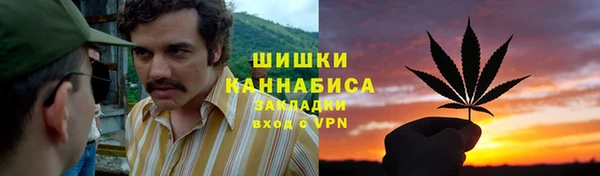 гидропоника Алзамай